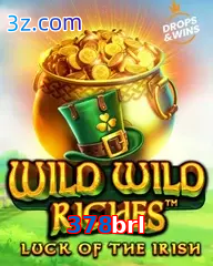 378brl slot wild wild riches